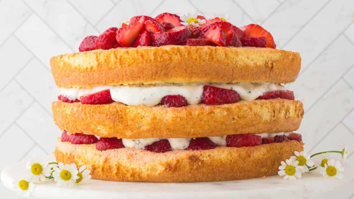 Strawberry Shortcake Cassata MSN